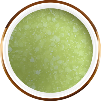 ANANAS ICE-CREAM