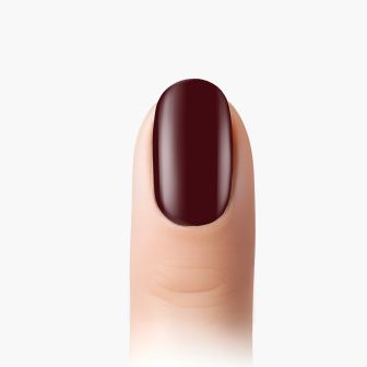 SPICED WINE - Canadian Autumn Collection